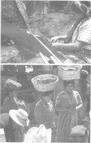 Иллюстрация к книге — Боги майя [i_019.jpg]