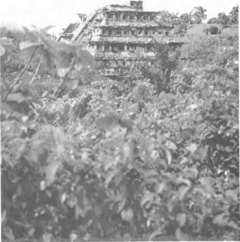 Иллюстрация к книге — Боги майя [i_039.jpg]