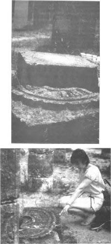 Иллюстрация к книге — Боги майя [i_059.jpg]