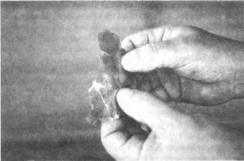 Иллюстрация к книге — Боги майя [i_089.jpg]