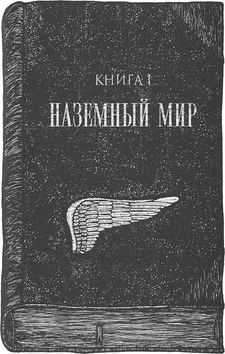 Иллюстрация к книге — Румо, или Чудеса в темноте [img_0003.jpg]