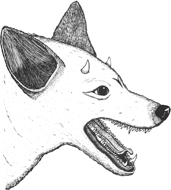 Иллюстрация к книге — Румо, или Чудеса в темноте [img_0020.jpg]