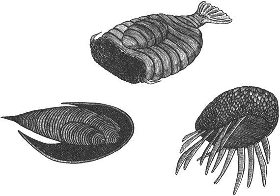 Иллюстрация к книге — Румо, или Чудеса в темноте [img_0026.jpg]