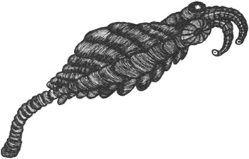 Иллюстрация к книге — Румо, или Чудеса в темноте [img_0027.jpg]