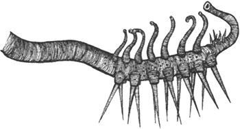 Иллюстрация к книге — Румо, или Чудеса в темноте [img_0028.jpg]