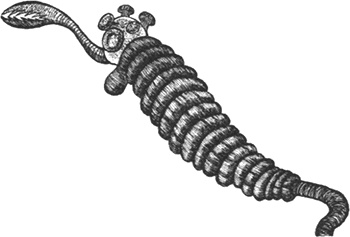 Иллюстрация к книге — Румо, или Чудеса в темноте [img_0029.jpg]