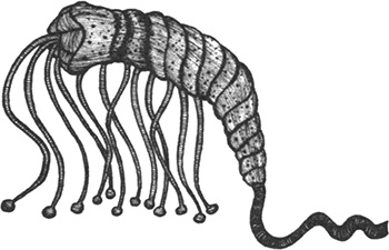 Иллюстрация к книге — Румо, или Чудеса в темноте [img_0030.jpg]