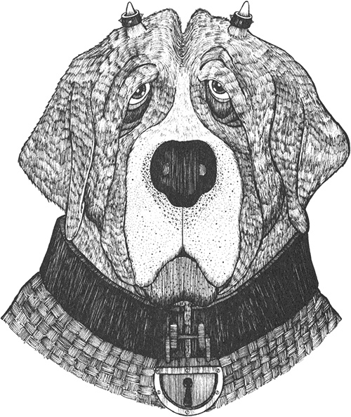 Иллюстрация к книге — Румо, или Чудеса в темноте [img_0038.jpg]