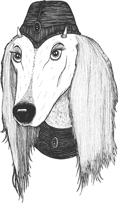 Иллюстрация к книге — Румо, или Чудеса в темноте [img_0039.jpg]