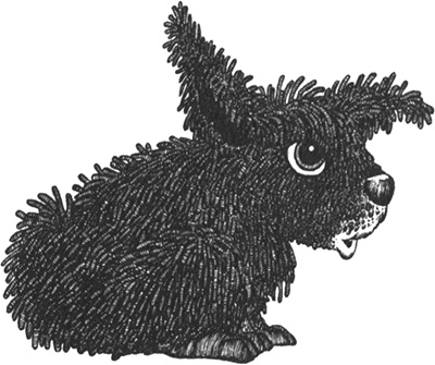 Иллюстрация к книге — Румо, или Чудеса в темноте [img_0063.jpg]