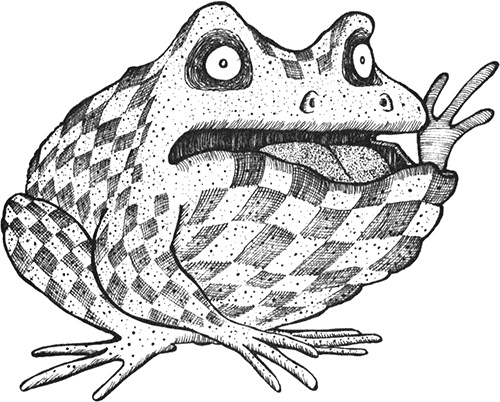 Иллюстрация к книге — Румо, или Чудеса в темноте [img_0065.jpg]