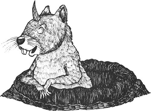 Иллюстрация к книге — Румо, или Чудеса в темноте [img_0066.jpg]