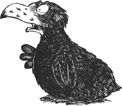 Иллюстрация к книге — Румо, или Чудеса в темноте [img_0091.jpg]