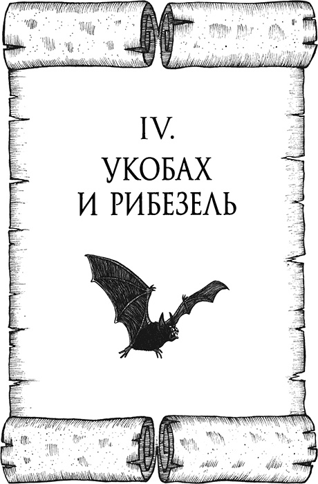 Иллюстрация к книге — Румо, или Чудеса в темноте [img_0092.jpg]