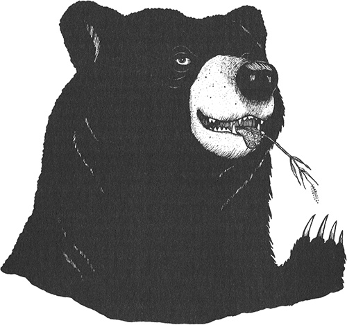 Иллюстрация к книге — Румо, или Чудеса в темноте [img_0095.jpg]