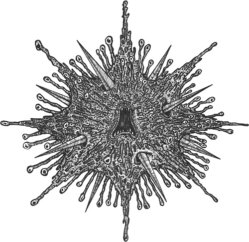 Иллюстрация к книге — Румо, или Чудеса в темноте [img_0099.jpg]