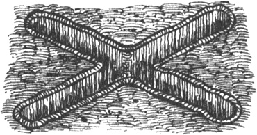 Иллюстрация к книге — Румо, или Чудеса в темноте [img_0106.jpg]