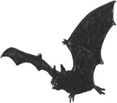 Иллюстрация к книге — Румо, или Чудеса в темноте [img_1019.jpg]