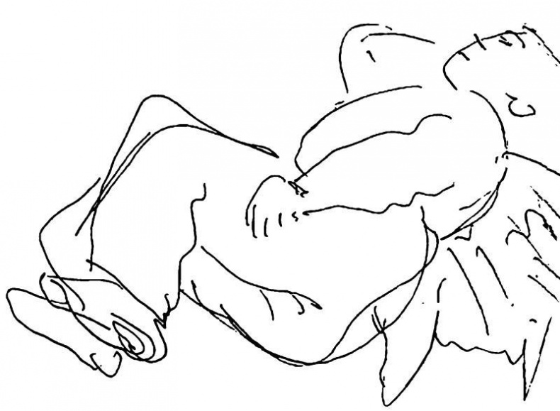 Иллюстрация к книге — Самое шкловское [i_025.jpg]