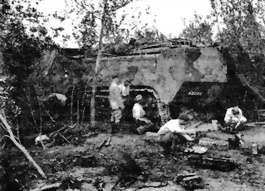 Иллюстрация к книге — Танки Первой Мировой [i_160.jpg]