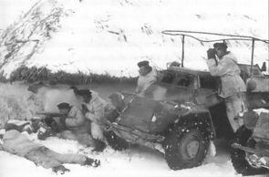 Иллюстрация к книге — 1-я Русская бригада СС "Дружина" [p0239.jpg]