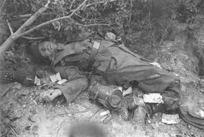 Иллюстрация к книге — 1-я Русская бригада СС "Дружина" [p0251.jpg]