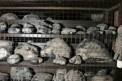 Иллюстрация к книге — Камни Ики. Послание невозможной цивилизации [i_026.jpg]