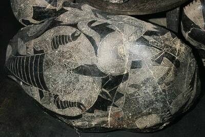 Иллюстрация к книге — Камни Ики. Послание невозможной цивилизации [i_059.jpg]