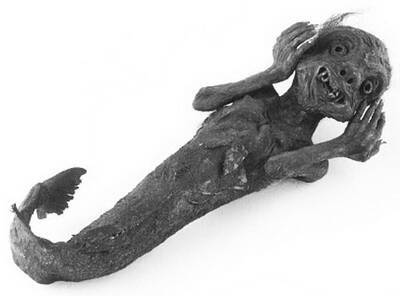 Иллюстрация к книге — Камни Ики. Послание невозможной цивилизации [i_146.jpg]