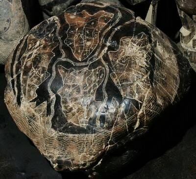 Иллюстрация к книге — Камни Ики. Послание невозможной цивилизации [i_149.jpg]