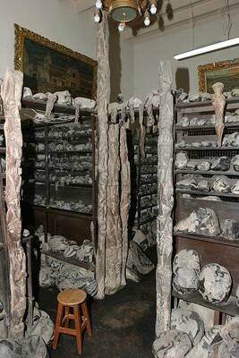 Иллюстрация к книге — Камни Ики. Послание невозможной цивилизации [i_178.jpg]