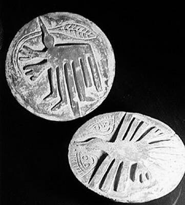 Иллюстрация к книге — Камни Ики. Послание невозможной цивилизации [i_191.jpg]