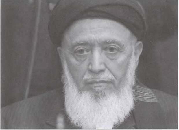 Иллюстрация к книге — Кому мы обязаны "Афганом" [i_034.jpg]