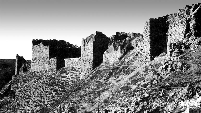 Иллюстрация к книге — Рыцарские ордена в бою [i_038.jpg]