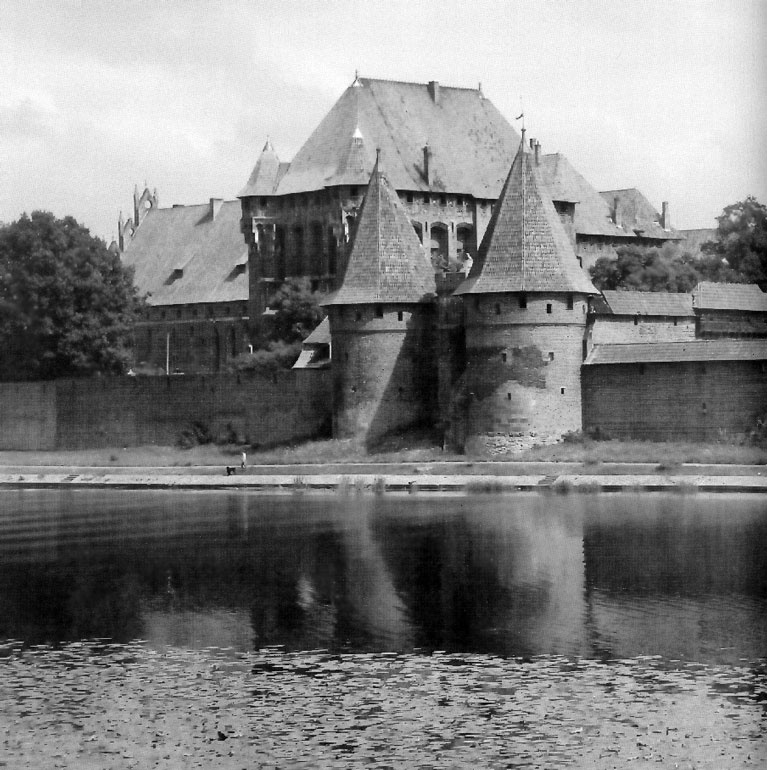 Иллюстрация к книге — Рыцарские ордена в бою [i_133.jpg]