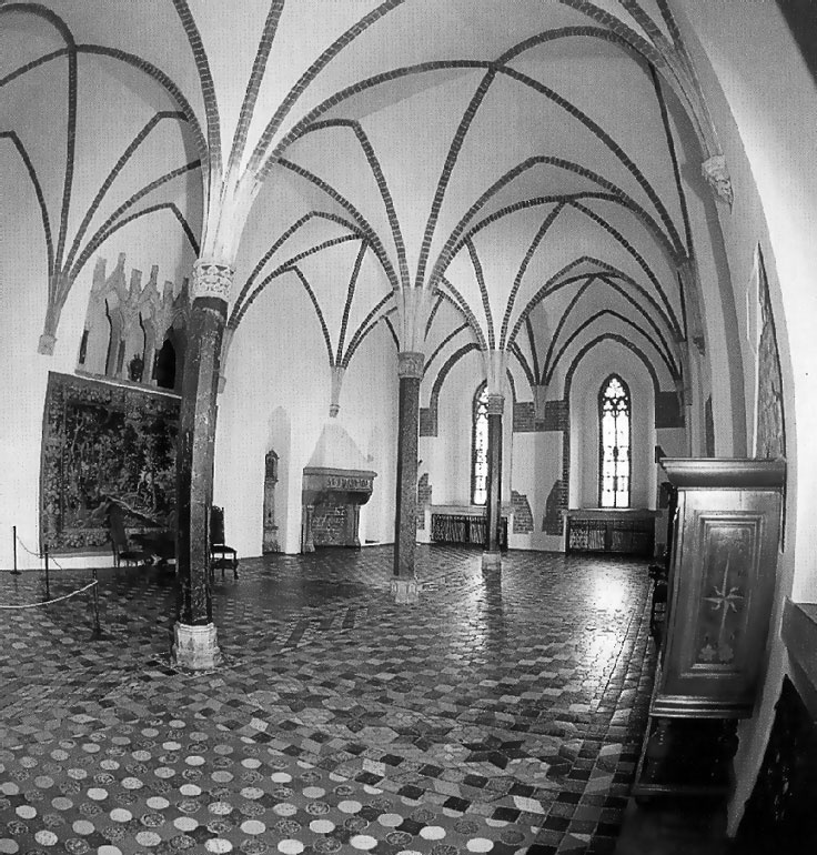 Иллюстрация к книге — Рыцарские ордена в бою [i_134.jpg]