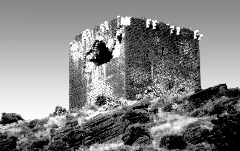 Иллюстрация к книге — Рыцарские ордена в бою [i_136.jpg]