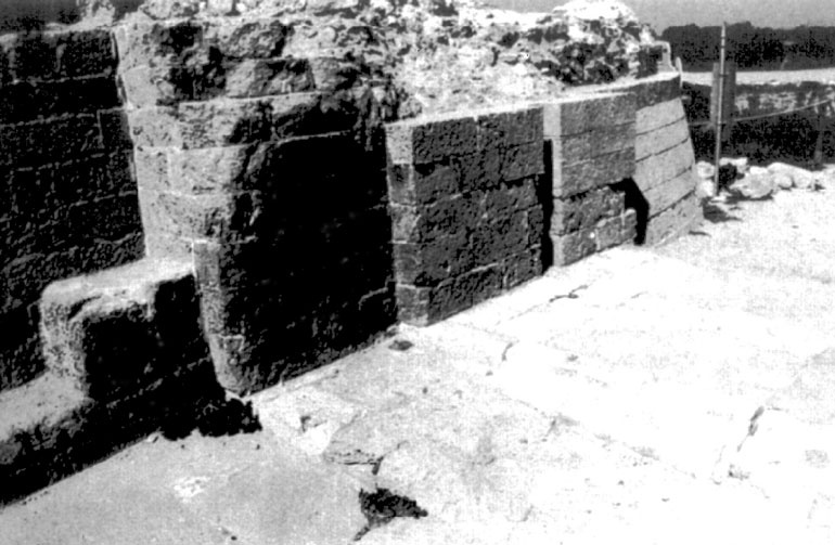 Иллюстрация к книге — Рыцарские ордена в бою [i_137.jpg]