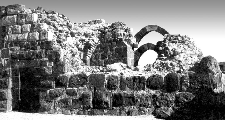 Иллюстрация к книге — Рыцарские ордена в бою [i_143.jpg]