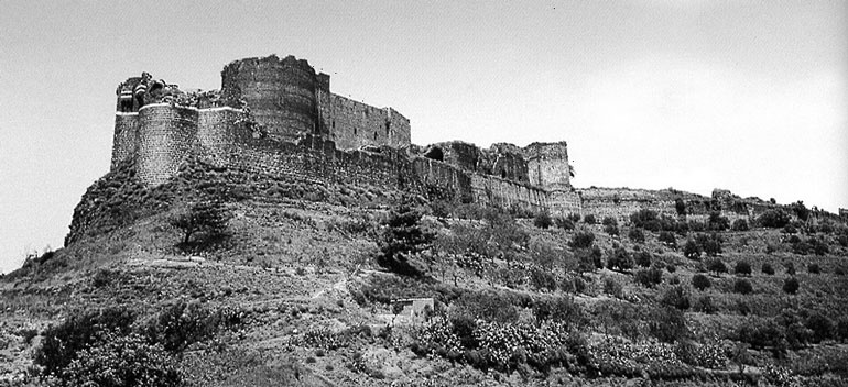 Иллюстрация к книге — Рыцарские ордена в бою [i_158.jpg]