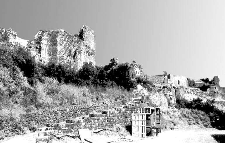 Иллюстрация к книге — Рыцарские ордена в бою [i_160.jpg]