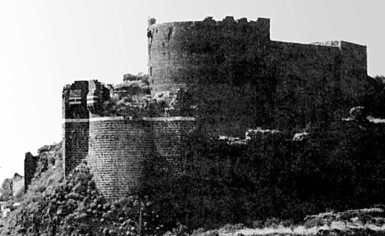 Иллюстрация к книге — Рыцарские ордена в бою [i_162.jpg]