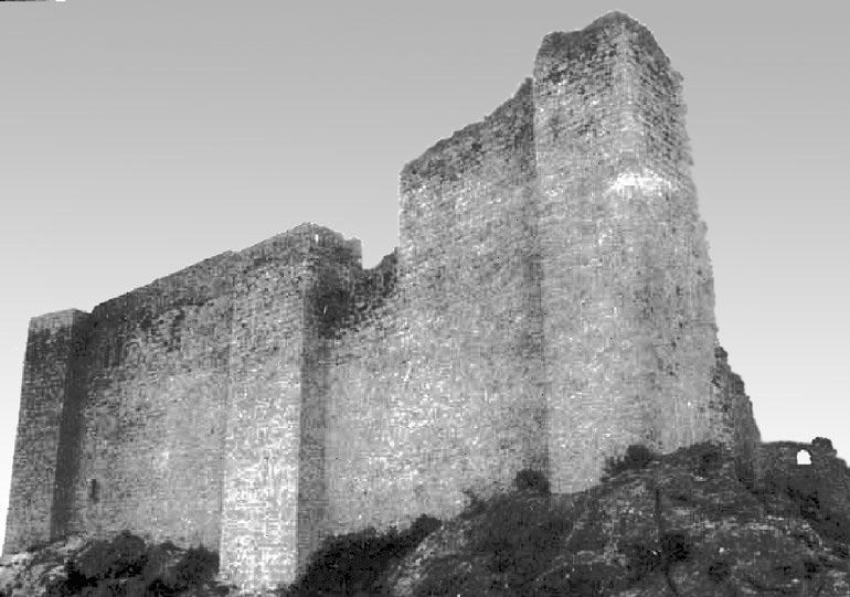 Иллюстрация к книге — Рыцарские ордена в бою [i_164.jpg]