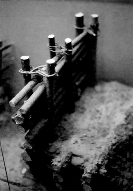 Иллюстрация к книге — Рыцарские ордена в бою [i_173.jpg]