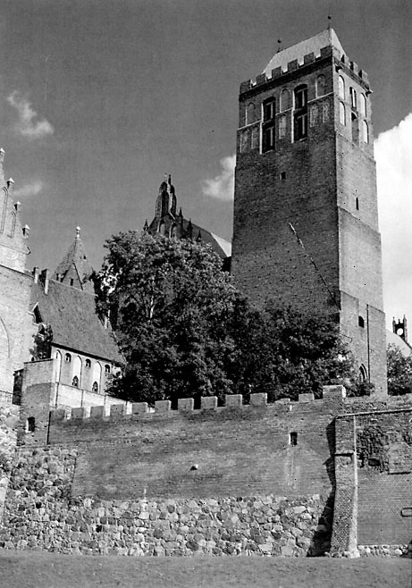 Иллюстрация к книге — Рыцарские ордена в бою [i_182.jpg]