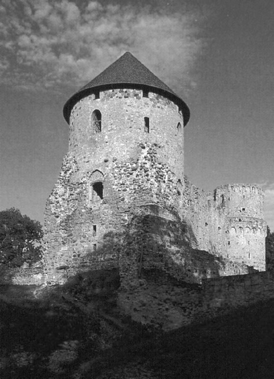 Иллюстрация к книге — Рыцарские ордена в бою [i_186.jpg]