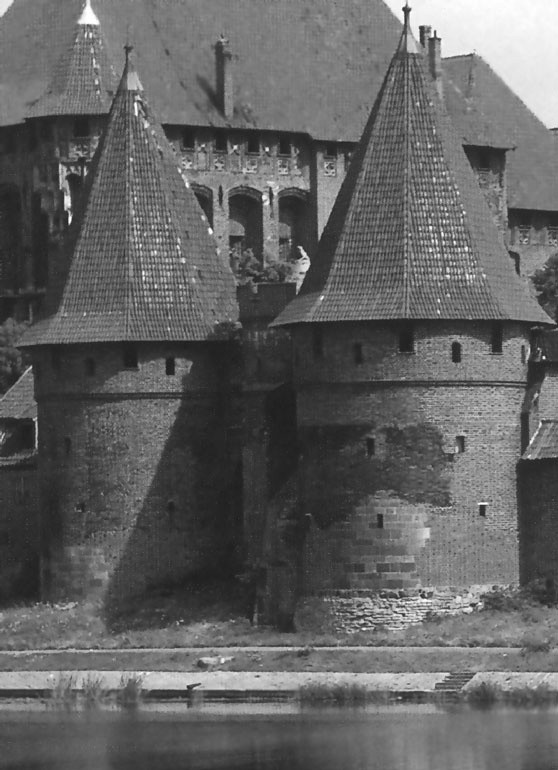 Иллюстрация к книге — Рыцарские ордена в бою [i_187.jpg]