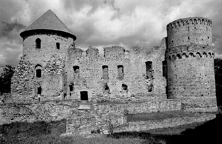 Иллюстрация к книге — Рыцарские ордена в бою [i_189.jpg]