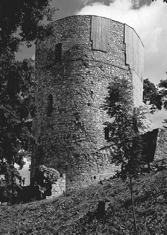 Иллюстрация к книге — Рыцарские ордена в бою [i_191.jpg]