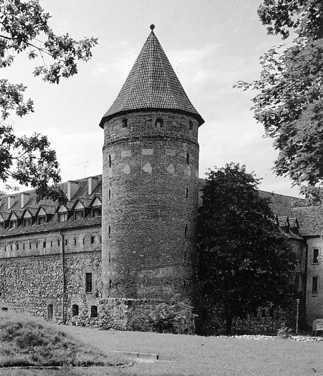 Иллюстрация к книге — Рыцарские ордена в бою [i_211.jpg]